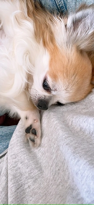 達成させたい気持ち