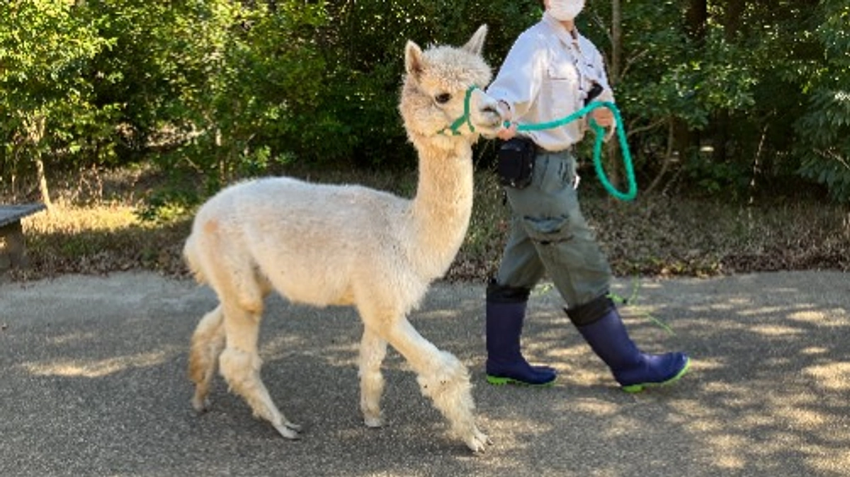 プロジェクト公開1週目、たくさんのご支援ありがとうございます！