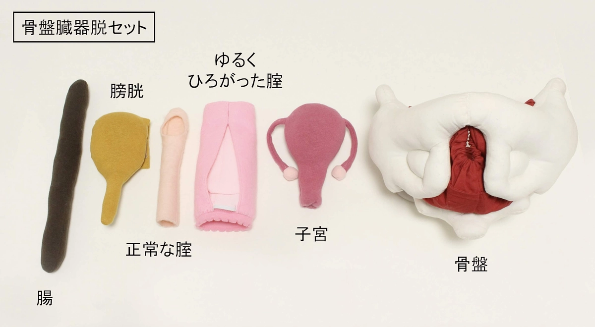 ご支援いただいている皆様へ　「骨盤臓器脱ぬいぐるみセット」動画が完成しました！