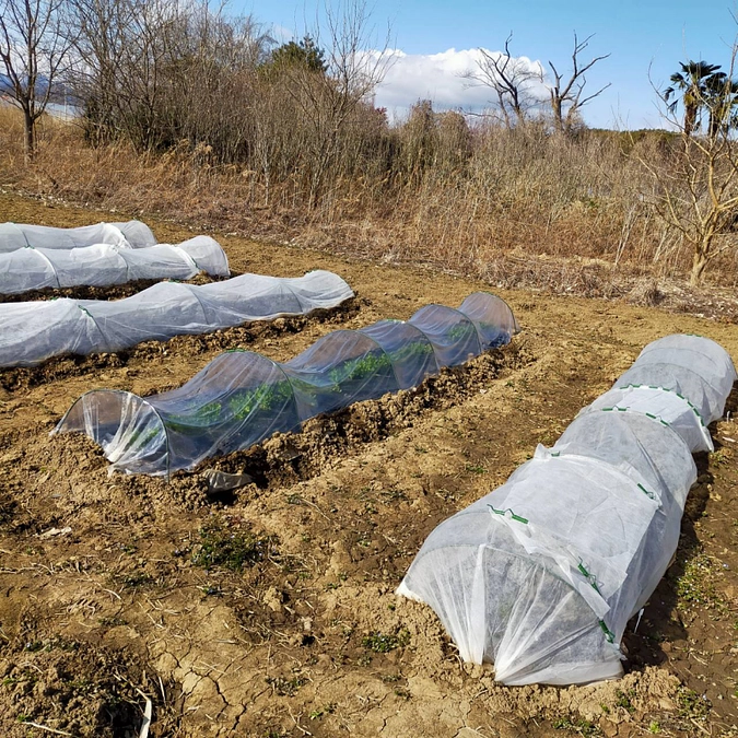 始まりと感謝と自分のことを少しお話します