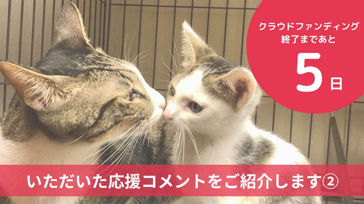 残り5日となりました。応援コメントのご紹介です。