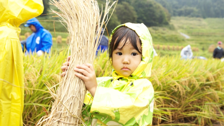 日本棚田百選！山形県「大蕨棚田」の元気を再生したい！