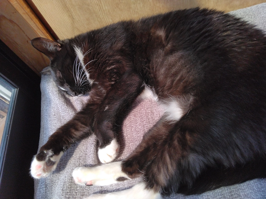 3/25はなちゃんの様子