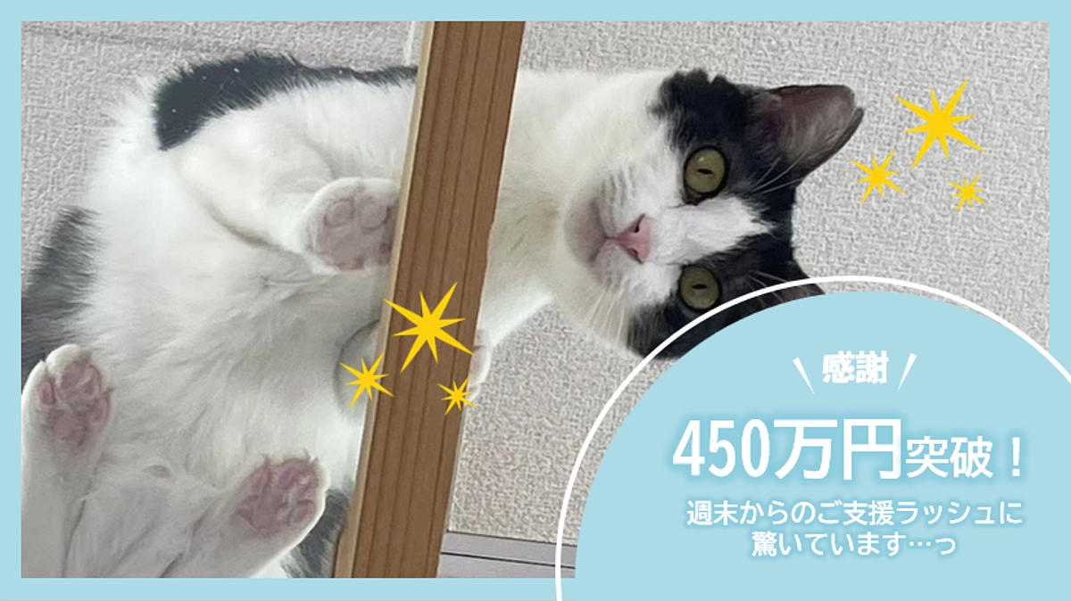 ご支援450万円突破！！週末からのご支援ラッシュに驚いています…っ