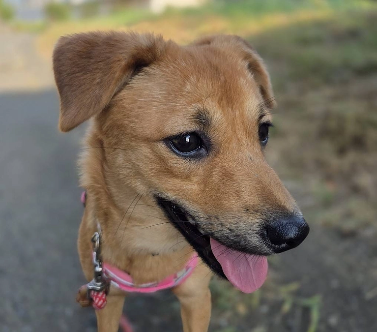 窓の工事を行いました。