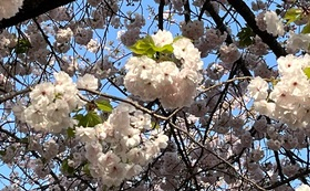 ご支援を頂き誠にありがとうございます。