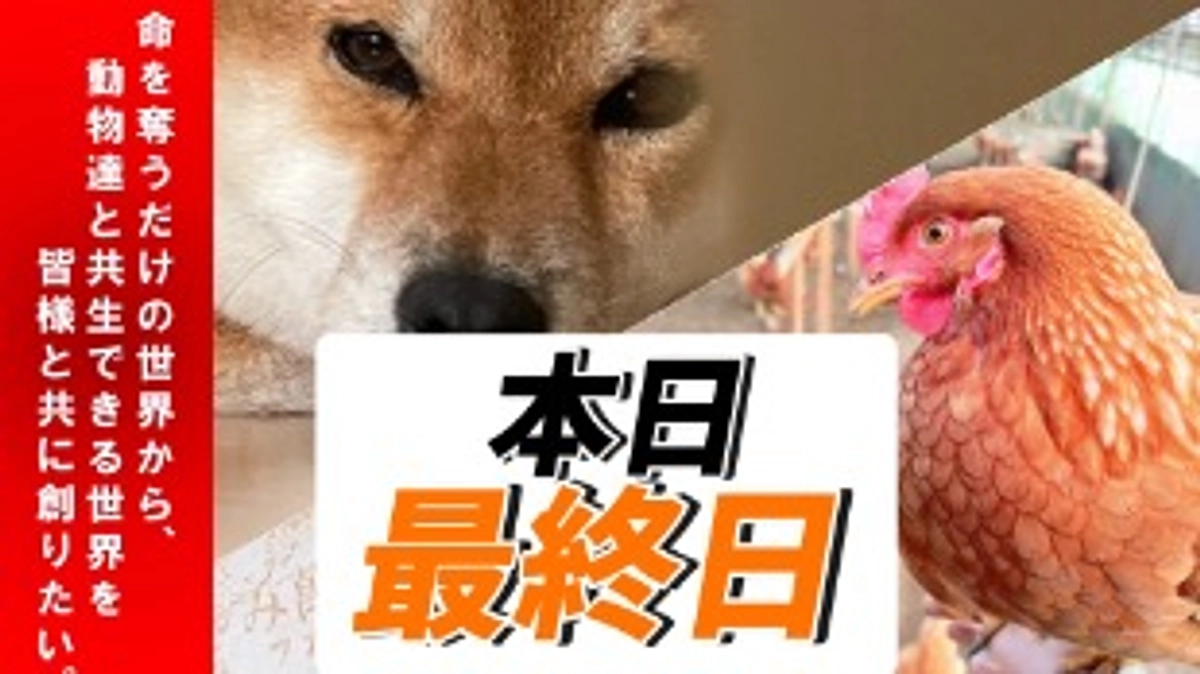 ‼️最終日‼️