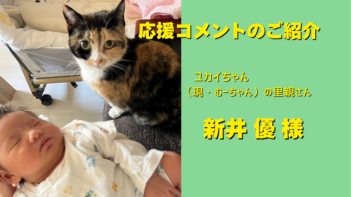 ユカイちゃん（現・むーちゃん）の里親さんの新井優様より、応援メッセージを頂きました