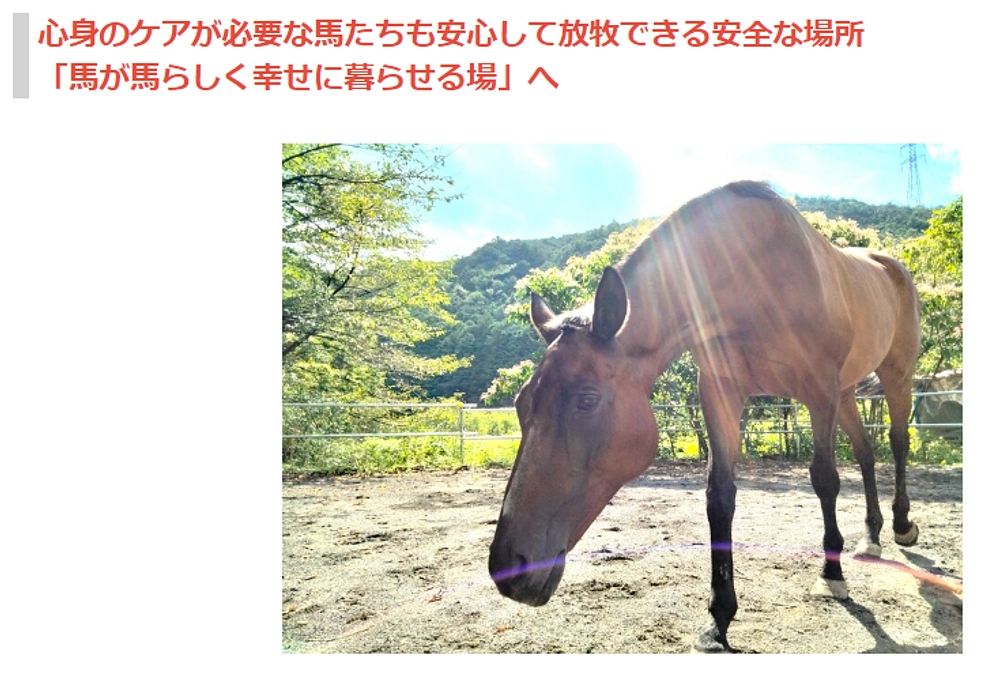 【あと5時間！あと50万円】たくさんの追加支援もありがとございます！ネクストゴールで目指すこと