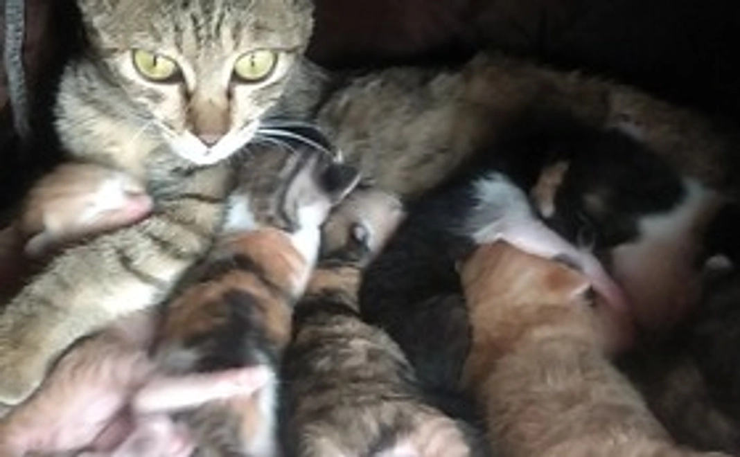 お礼に感謝のメールをお送り致します。