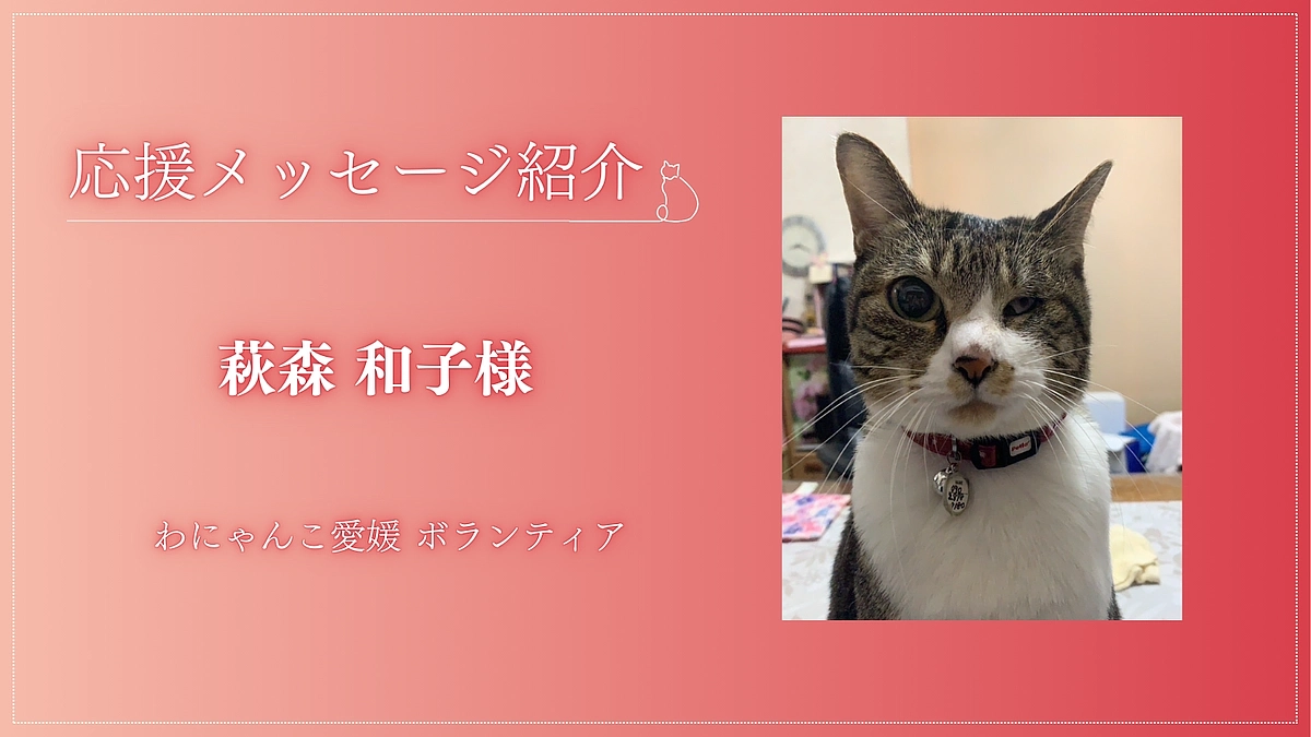 【応援メッセージが届いています！】わにゃんこ愛媛のボランティア、萩森 和子様