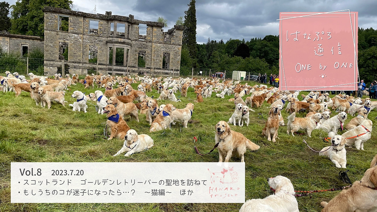 「はなぷろ通信 one by one」Vol.８