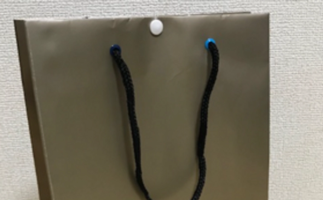 オリジナルハトメ紙袋エコバック