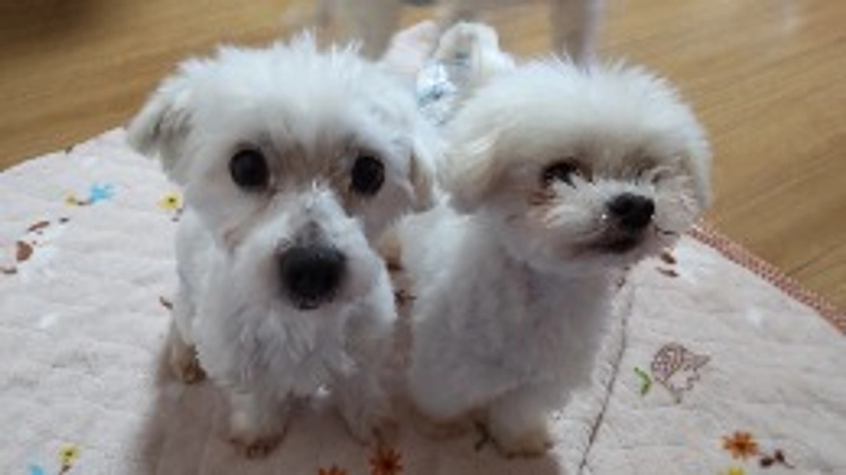 【残り1ヶ月】応援メッセージのご紹介