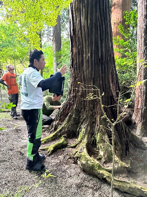 自然の営みと樹木の保護と・・