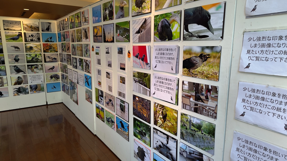 写真展が終了しました