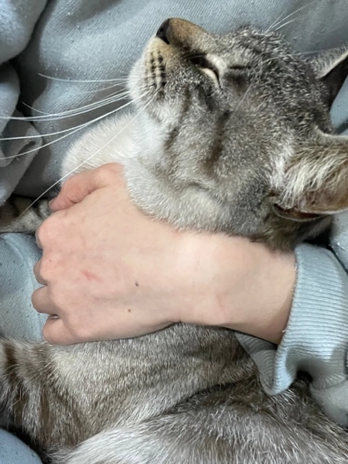 リターン品発送のご報告