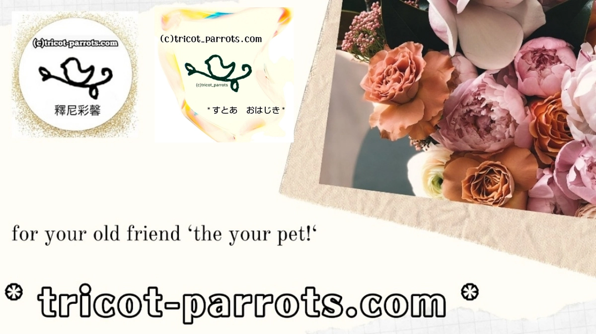 1週間経ちました。