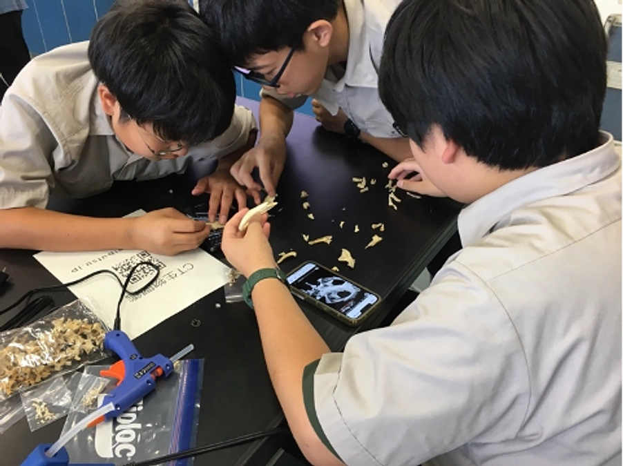 洛星中学校・高等学校での「オオサンショウウオ学」コースを終えました（7/31）