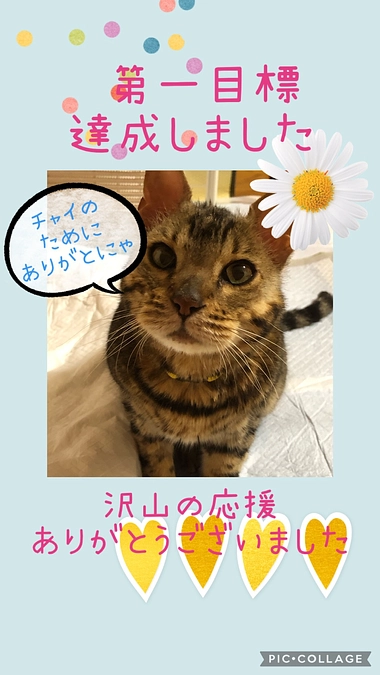 第一目標達成致しました🙌