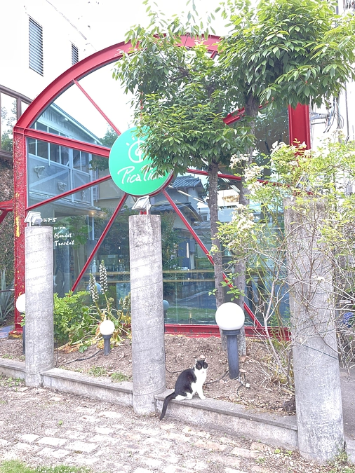 カササギとニャー