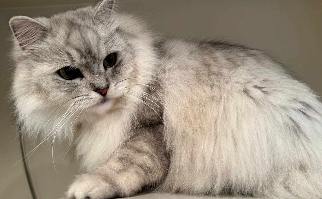 感謝のメール　4