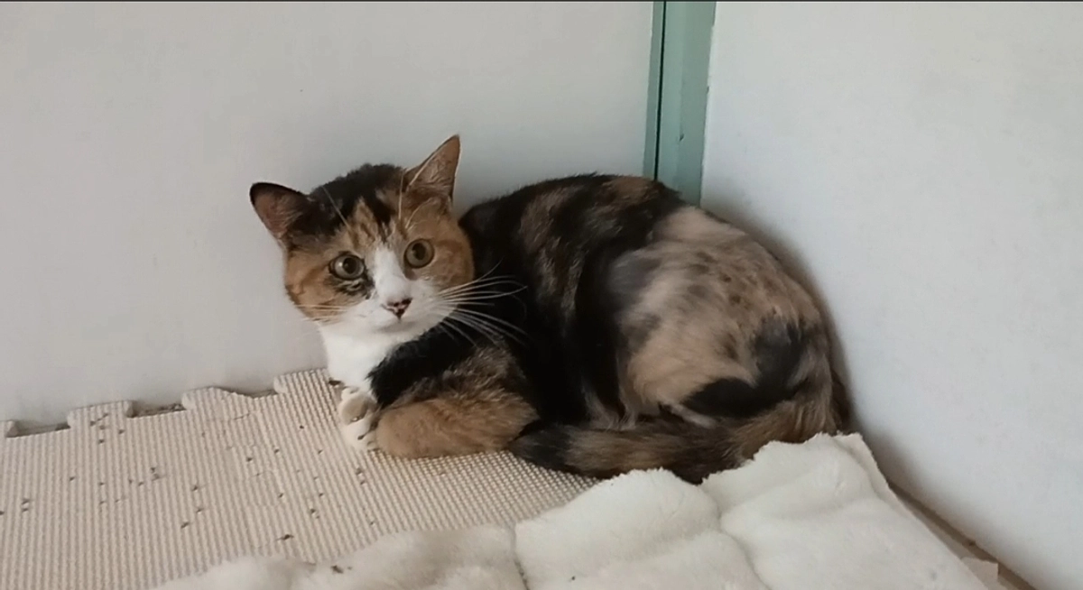 カラーが外せました☺️