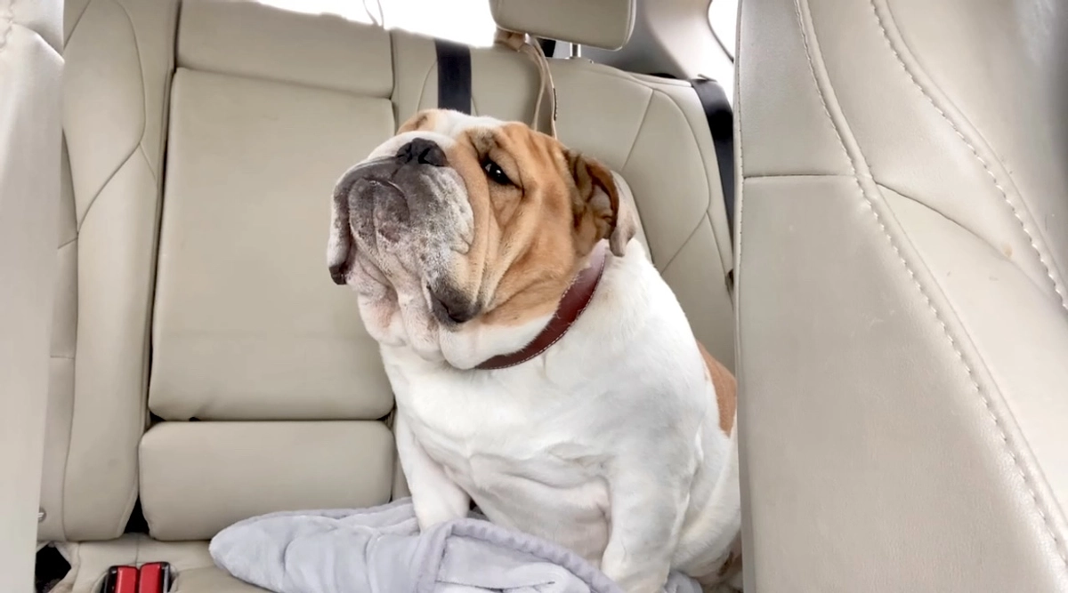 手術始まりました🏥