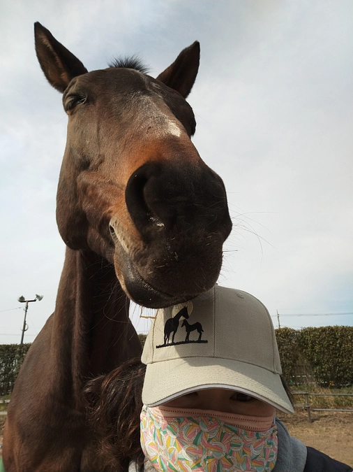 ケアが必要な馬だからこそできるお仕事がある。ホースケア会員制度への思い「ご縁のあった馬は最期まで」