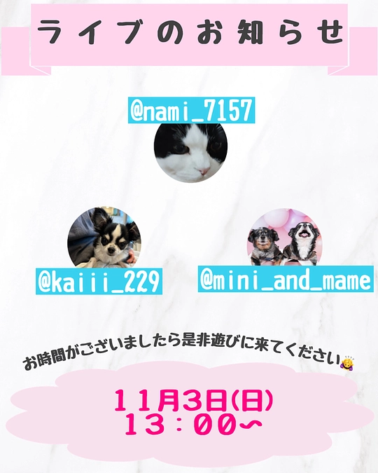 明日ライブします