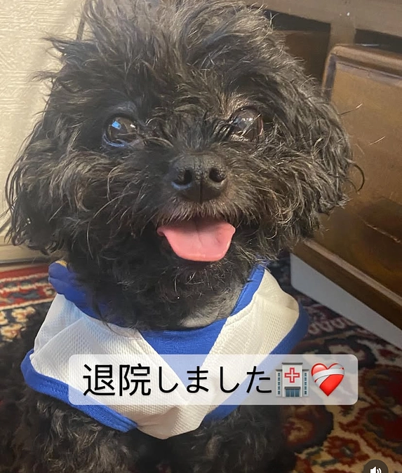 退院しました🏥❤️‍🩹