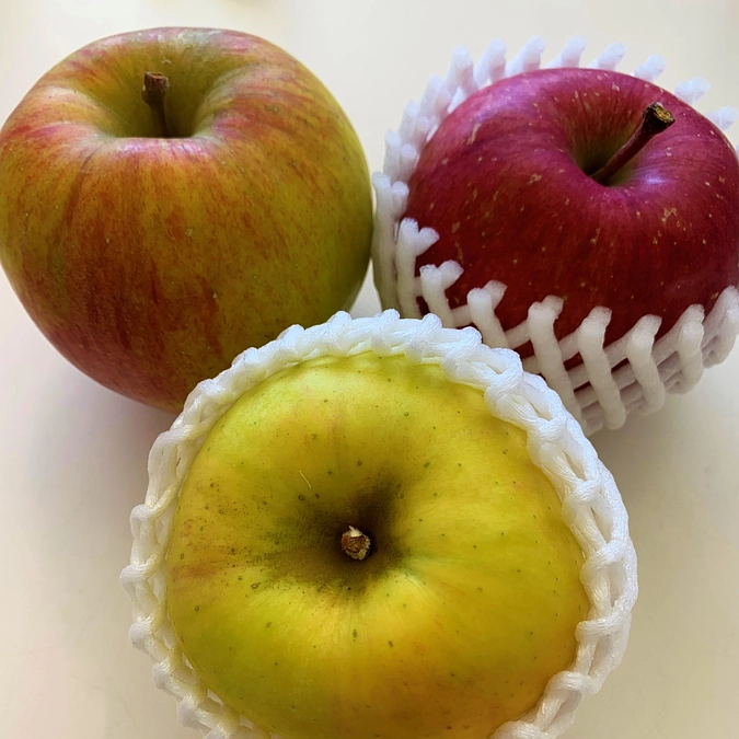 リターン商品の一部発送完了のご報告と今後の予定