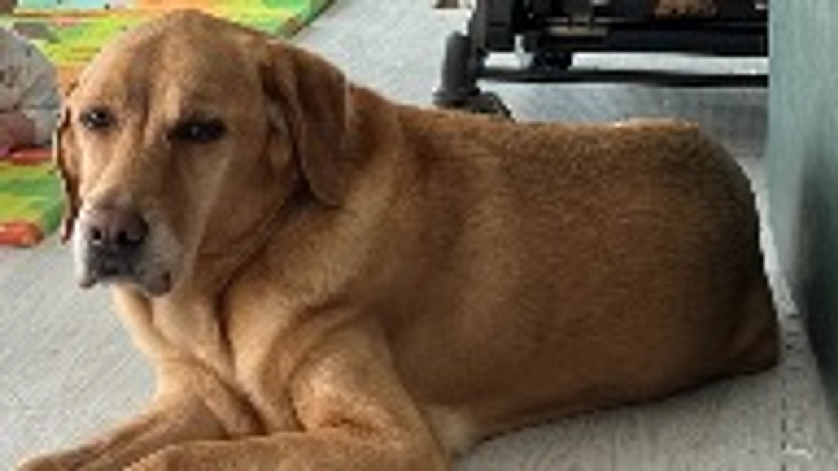 涼しくなってきました。