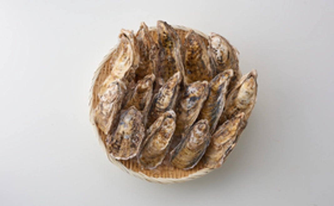 【大粒牡蠣】仙鳳趾産岩牡蠣＋プレ会員1か月分