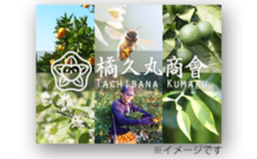 サンクスレター＋特製クリアファイル