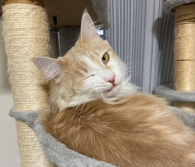 12/29経過観察44日目