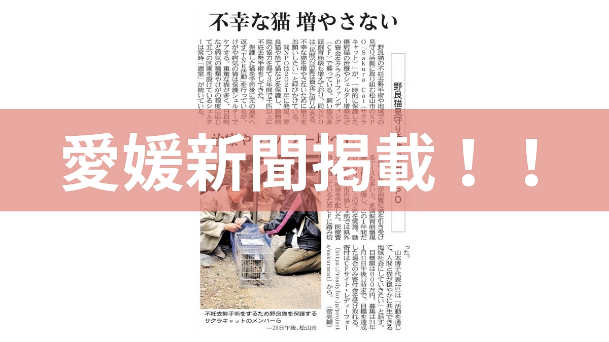 愛媛新聞に掲載していただきました！