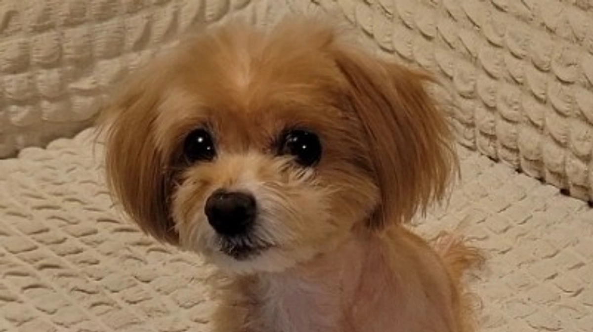 残り10日を切りましたが、伸び悩んでおります（汗）