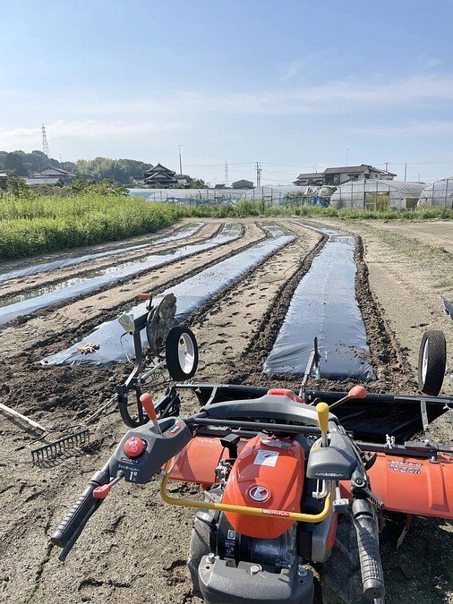 太陽熱土壌消毒作戦