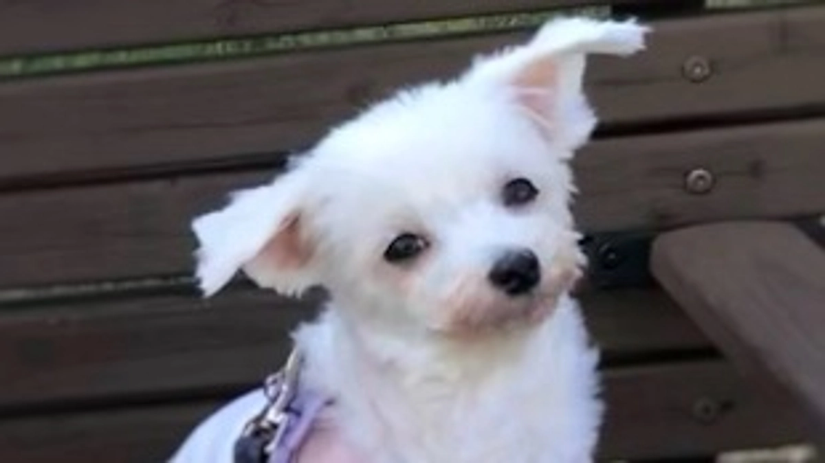 代理支援金 反映のご報告📝