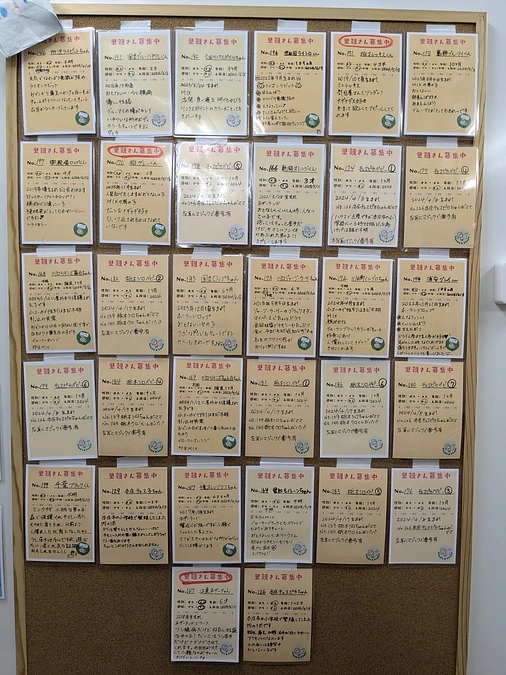 2024年6月　譲渡結果