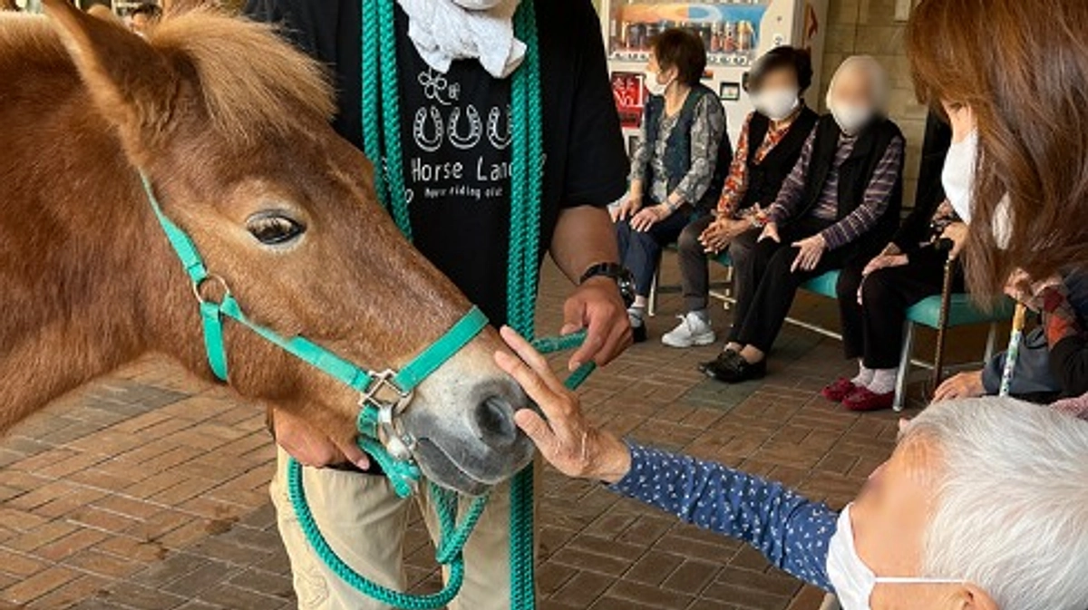 応援メッセージの紹介