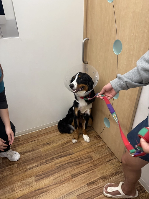 病院が怖いです😱