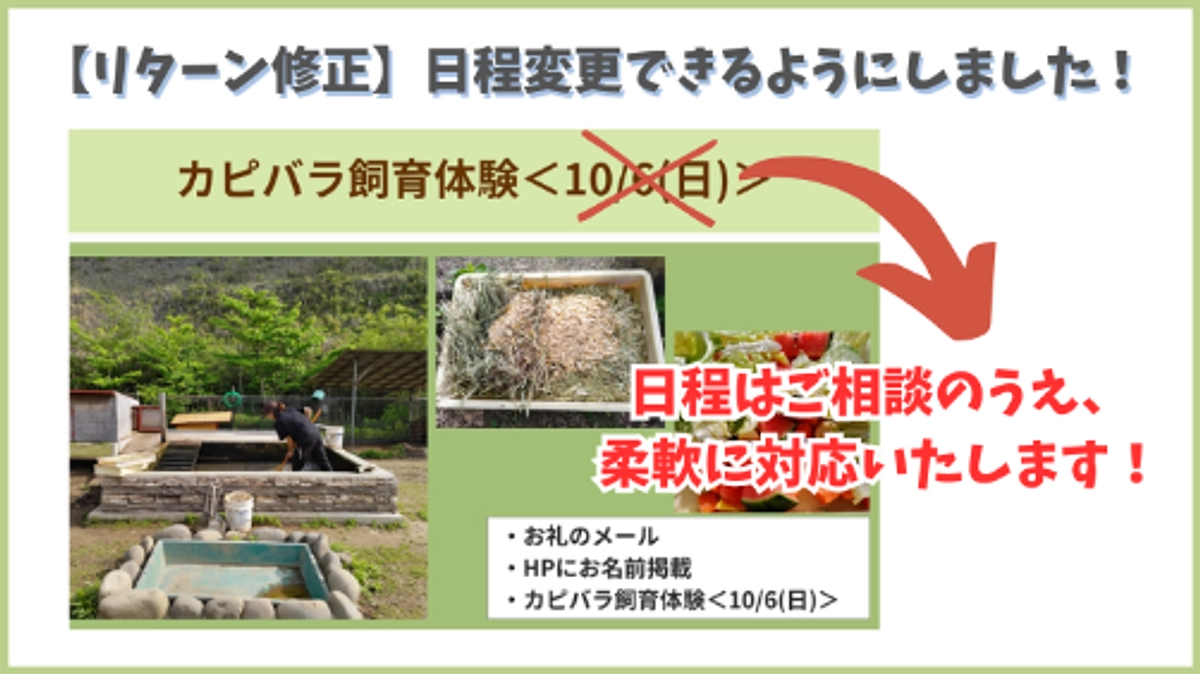 【リターン修正】カピバラ飼育体験の日程を、柔軟に対応できるように変更しました！