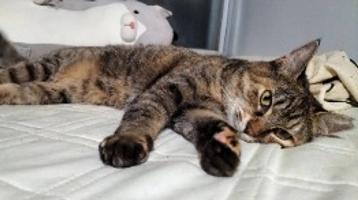 クーラー効いていても…