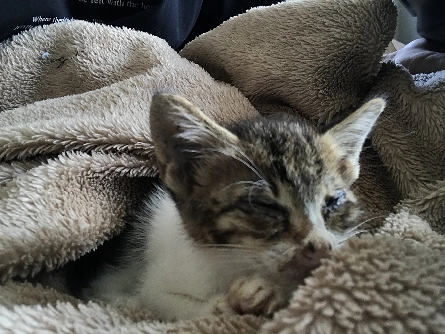 目標達成ありがとうございます！