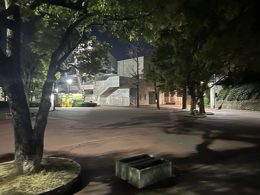 2/26 大宮夜回り活動