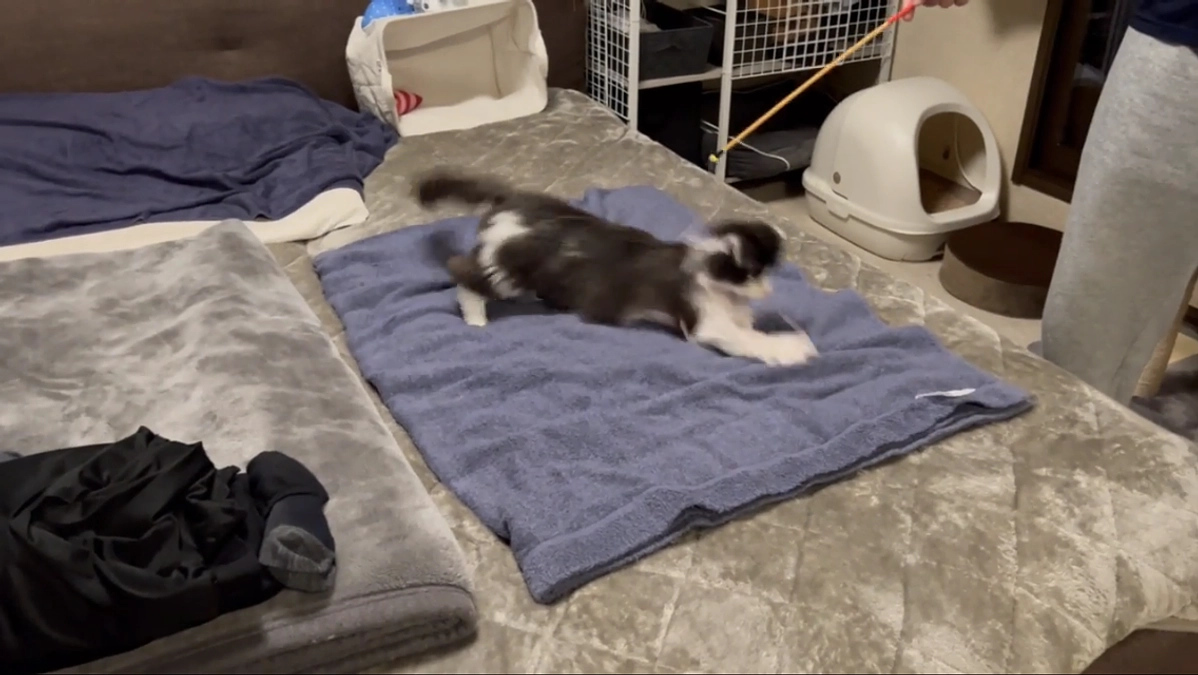 10/25のテオくんの様子