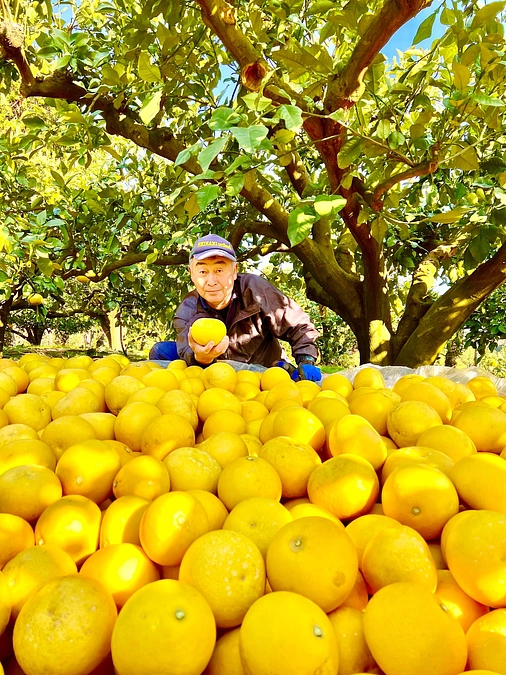 白木果樹園　白木浩一様から応援コメントをいただきました！