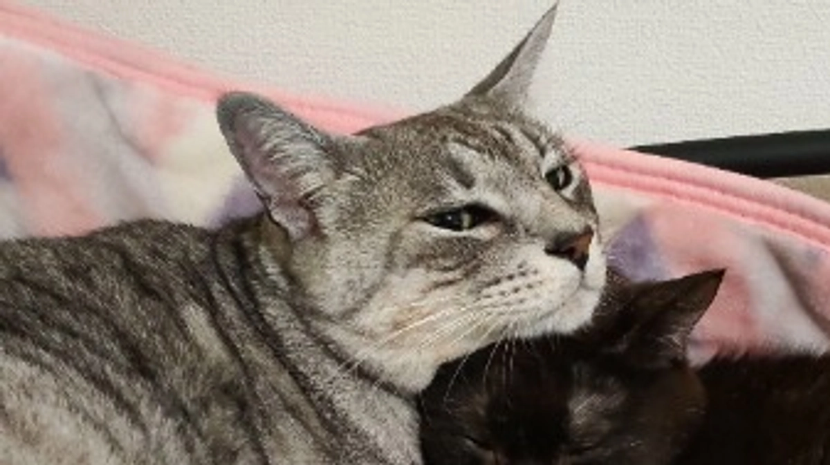 ８／１７　退院